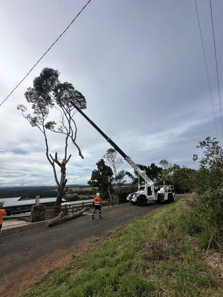 22T Franna crane in rural area of Ballina – Bauer Cranes